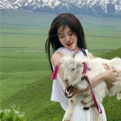 最后的贵族